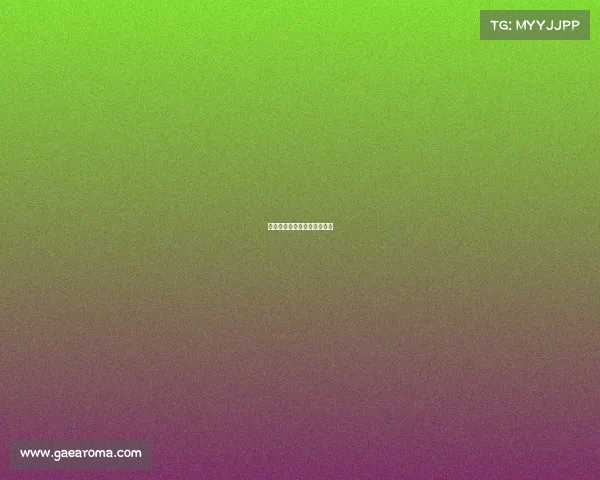 橄榄球国际赛事—橄榄球球赛